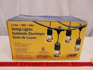 Feit Electric 48 ft LED String Lights, 24 Sockets, 26 Bulbs, 1W Each, Black Cord