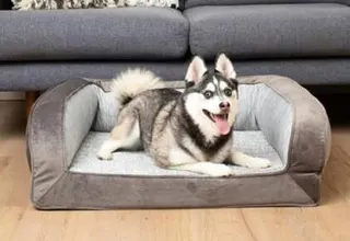 Paw.com Orthopedic Cooling Memory Foam Dog Bed with Bolster, 29” x 24”, Medium, Gray