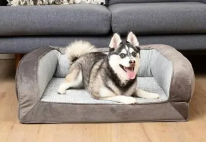 Paw.com Orthopedic Cooling Memory Foam Dog Bed with Bolster, 29” x 24”, Medium, Gray