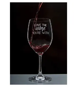 Lushy Wino Laser-Etched Novelty Wine Glasses | New Overstock Manifested Truckload