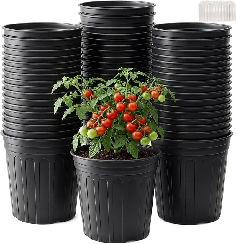 50 Pack 2 Gallon Flexible Plant Nursery Pots for Plants with Drainage Holes | Flexible, lightweight plastic construction; compact growing space for seedlings, herbs, succulents, and young flowers