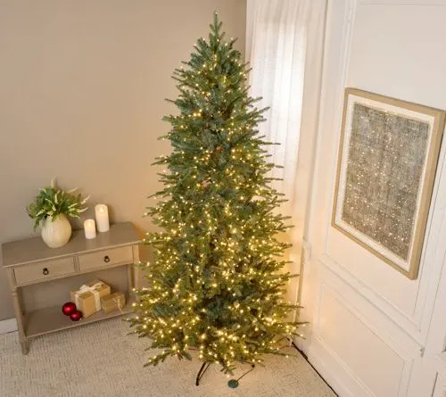 Truckload (24 Pallets) of Christmas Trees by Bethlehem Lights, Home Reflections & More, (Lot 3_16304)