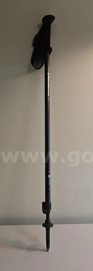 Black Diamond Trekking Pole (Juneau, AK)