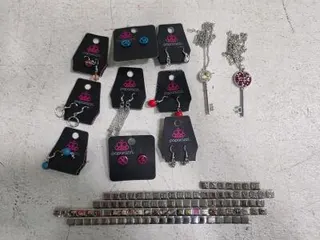 Bulk Paparazzi Earrings, Key Pendant Necklaces, and Italian Charm Bracelets, 13+ Jewelry Pieces