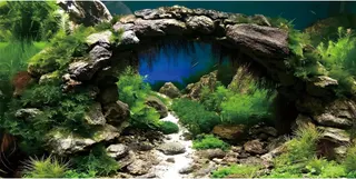 48x24 in Arch Stone Aquarium Backdrop Aquatic Plant Fish Tank Background | AWERT River Bed & Lake Vinyl Terrarium Background