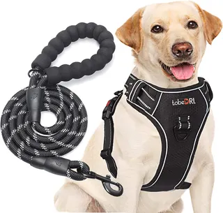 tobeDRI No Pull Dog Harness Adjustable Reflective Oxford Easy Control Medium Large Dog Harness with A Free Heavy Duty 5ft Dog Leash, Black, S
