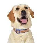 The Dodo Cork Dog Collar, Stripe, Size Medium; Cork Material Collar for Dogs, Everyday Pet...