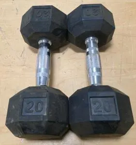 All in Motion 20 lb Hex Dumbbells - Pair, Rubber-Coated Heads, Chrome Handles