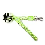 Max & Molly Stylish Comfort Padded Dog Leash; Double-Stitche