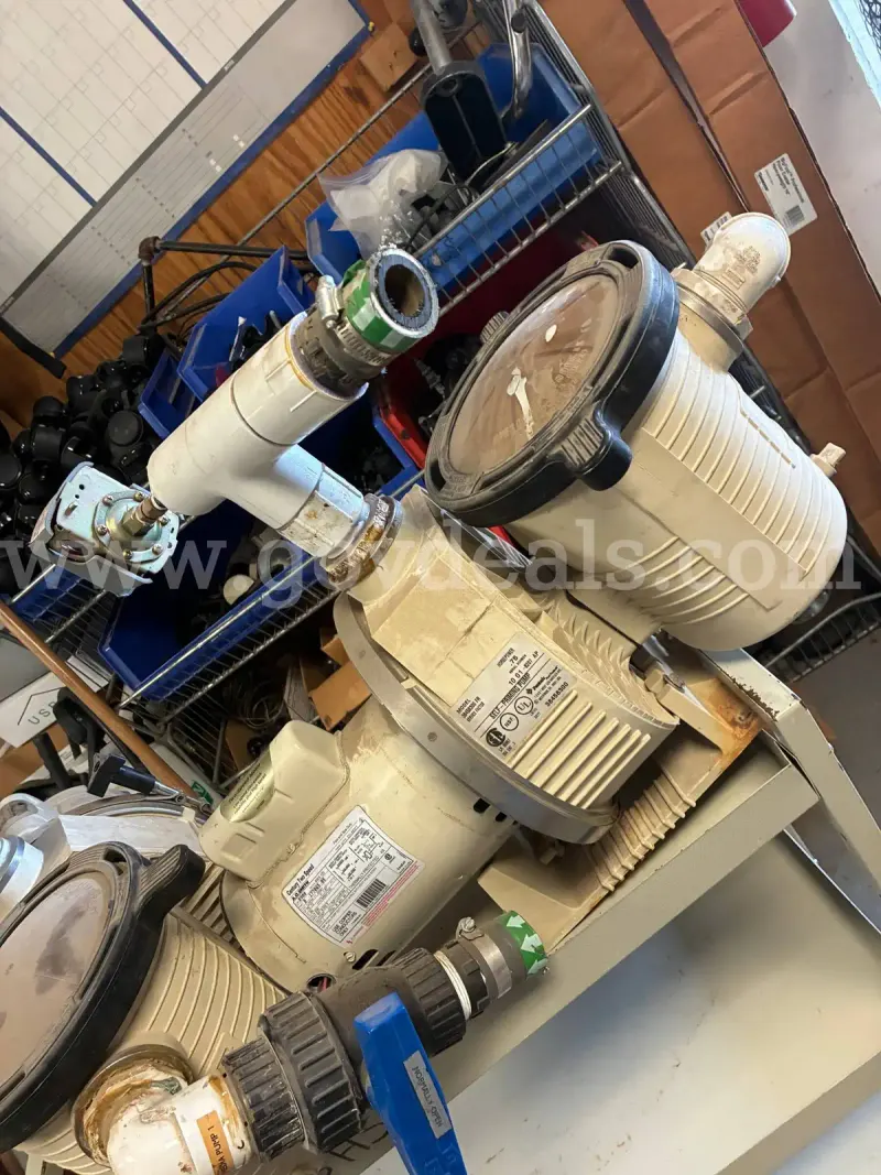 Lot of 2 Pool Pumps