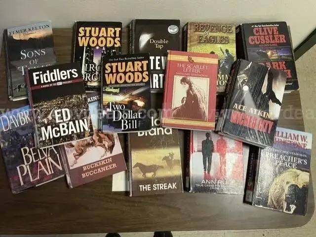 Library Surplus Lot of (161) Books, DVDs, and CD Audio Books