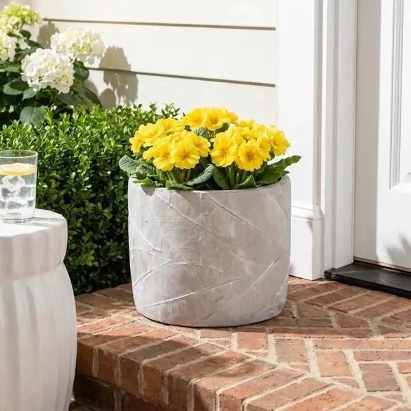 Home Decor - Potomac Cement Pot Planter, Latitude Run Curtains, Bergen Square Passage Knobset