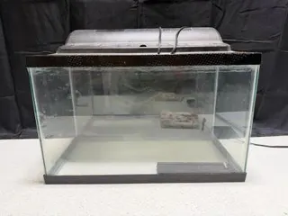 10-Gallon Glass Aquarium with Hood and Built-in Fluorescent Light