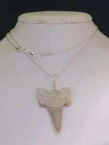 Sand Tigershark Tooth Fossil Necklace
