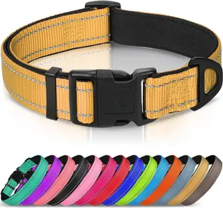 Joytale Reflective Dog Collar, Adjustable Neoprene Padded, Khaki L