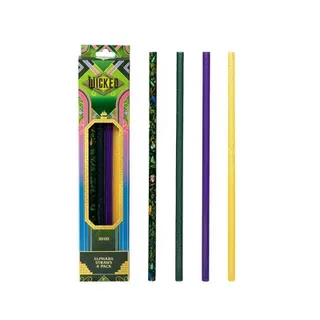 CharCharms 4pk 30oz Water Bottle Straws Wicked 2 Elphaba