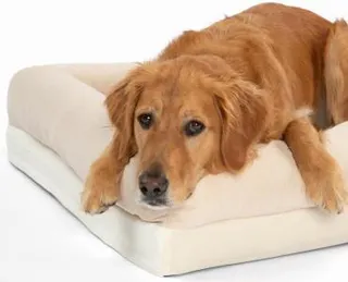 PAW Brands PupChill Cooling 4-Bolster Orthopedic Dog Bed, Ivory, 45"x35", Memory Foam, Large
