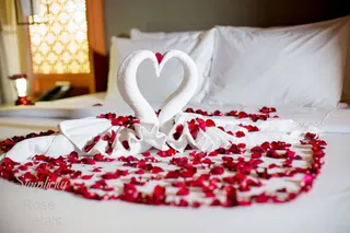 Non-Woven Rose Petals Wedding Rose Petals for Wedding