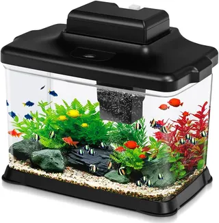 DaToo Small Fish Tank Ultra-Clear 1.6 Gallon Aquarium Starter Kits with LED Lighting and Filter System Beginner-Friendly Mini Betta Aquarium for Small Fish Shrimp Desktop Room Decoration