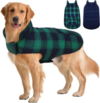 Kuoser Winter Coat, British Style Jacket for Medium and Large Dogs | Warm Windproof Puppy Cold Weather Clothes Vest, Reversible, Green L