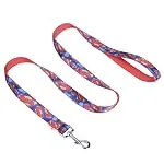 DC Comics Superman 4 Foot Dog Leash (48 inch) | Cute Red and Blue Dog Leash Easily Attache...
